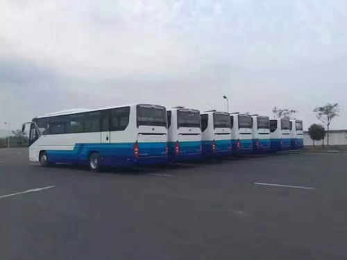 朝陽三間房地區(qū)班車與客車租賃服務(wù)指南 專業(yè)、便捷、可靠的選擇